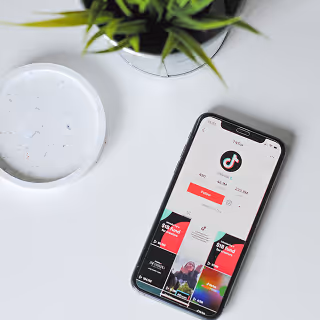 Smartphone on a white desk displaying a TikTok user profile page, next to a white coaster and green plant.