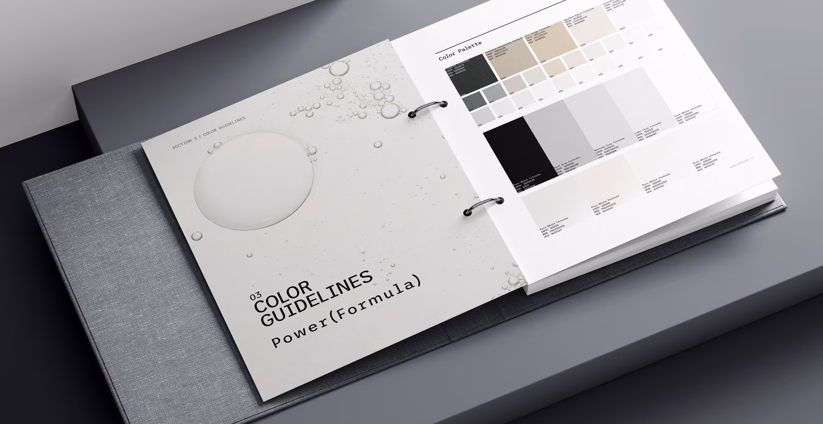 Power (Formula) brand guidelines binder open to the color palette page, showing neutral tones and clean design standards for skincare branding consistency.