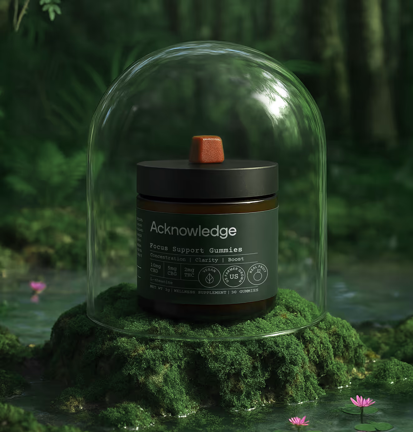 A jar of Acknowledge Focus Support Gummies sits on moss inside a clear glass dome in a lush green forest.