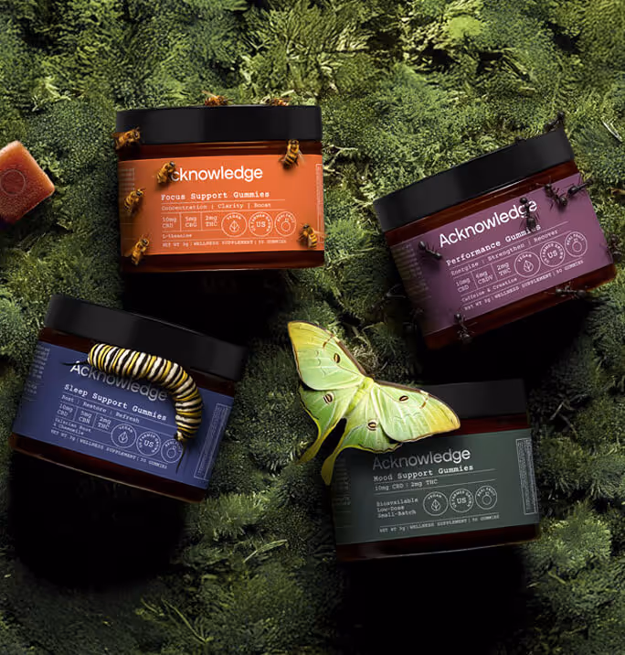 A collection of Acknowledge gummy jars in different colors (Focus, Performance, Sleep, Mood) placed on moss with bees, a caterpillar, and a green moth.