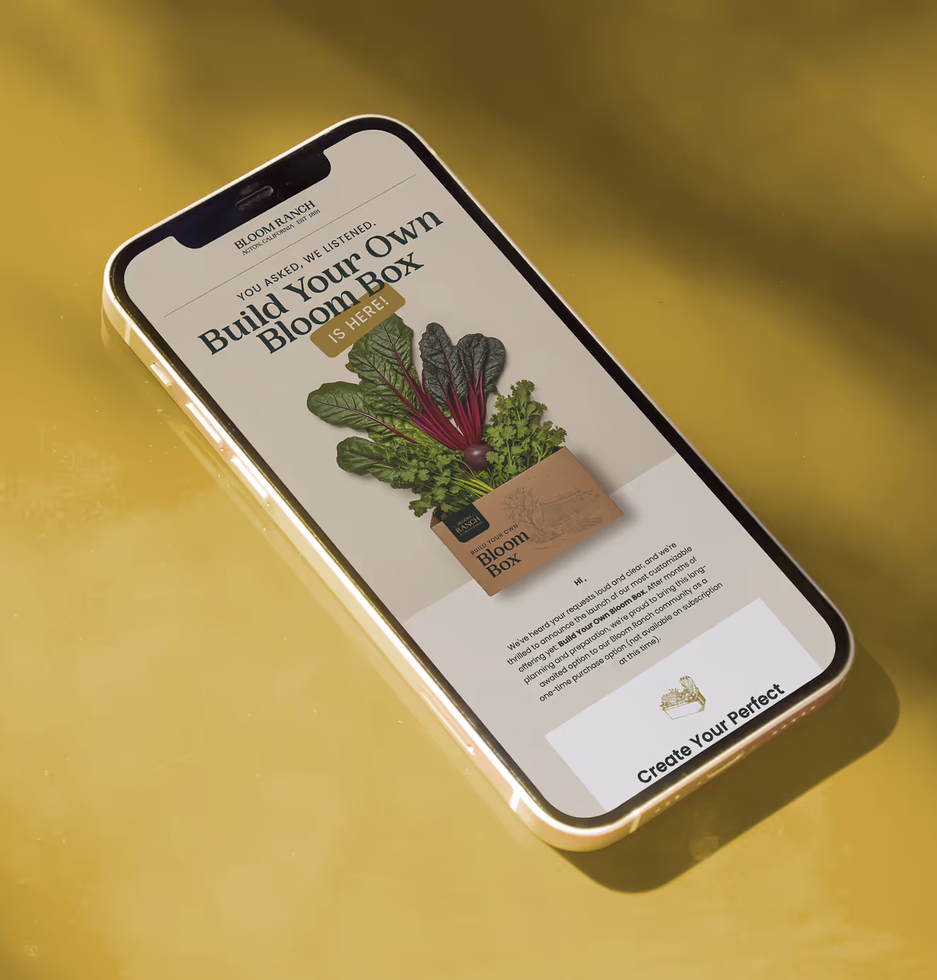 A smartphone displaying a promotional email from Bloom Ranch with the headline “Build Your Own Bloom Box Is Here!” The screen features vibrant leafy greens emerging from a labeled cardboard box, set against a light beige background. The phone rests on a warm yellow surface under soft lighting.