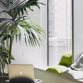 A MacBook sits on a small table next to a sunny window with green pillows and a large houseplant, creating a relaxed workspace atmosphere.