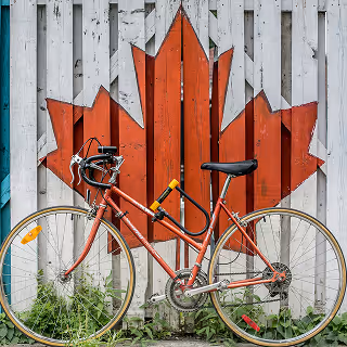 Red bicycle parked in front of a wooden fence painted with a large red maple leaf, symbolizing Canada.