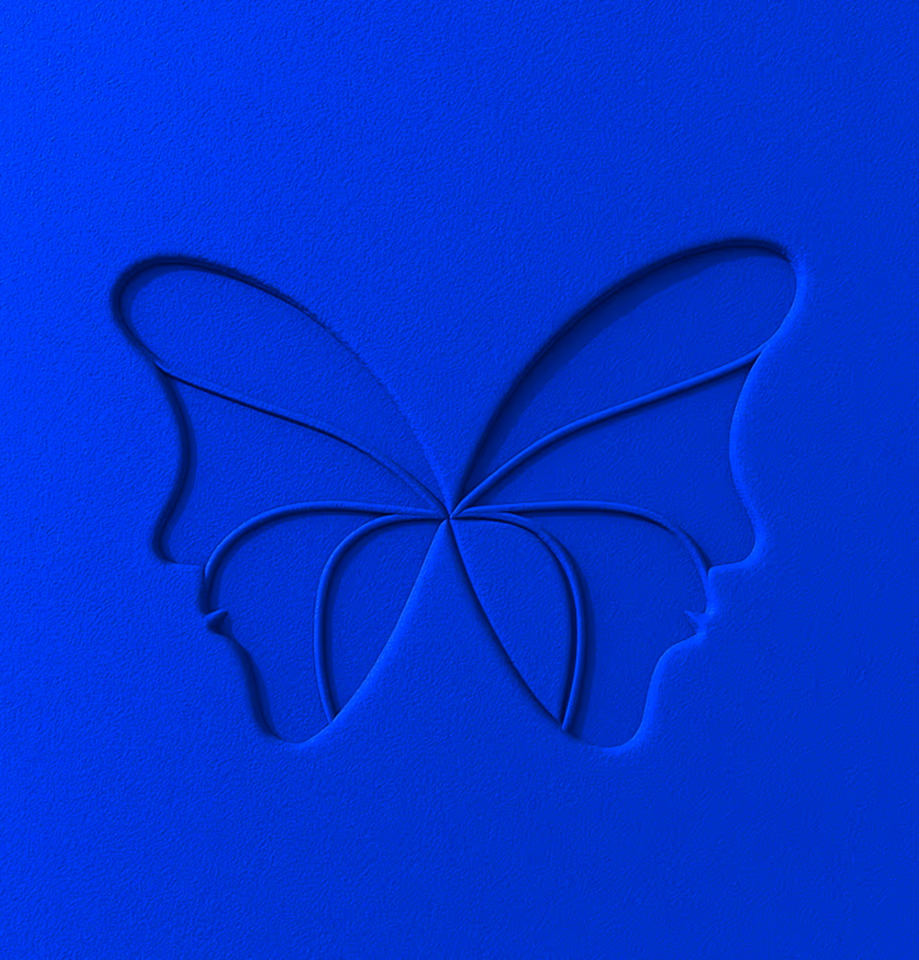 A butterfly illustration embossed on a blue background, with wings shaped by two human profiles facing each other.