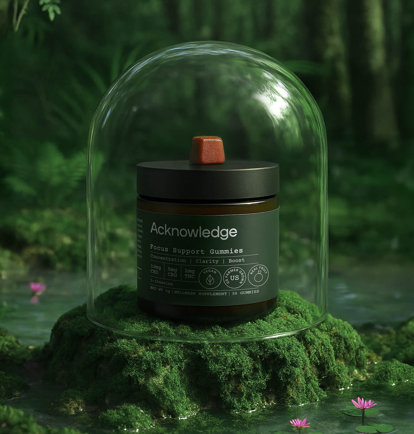 A jar of Acknowledge Focus Support Gummies displayed in a lush forest setting, placed on moss and enclosed under a glass dome with a single gummy on the lid.