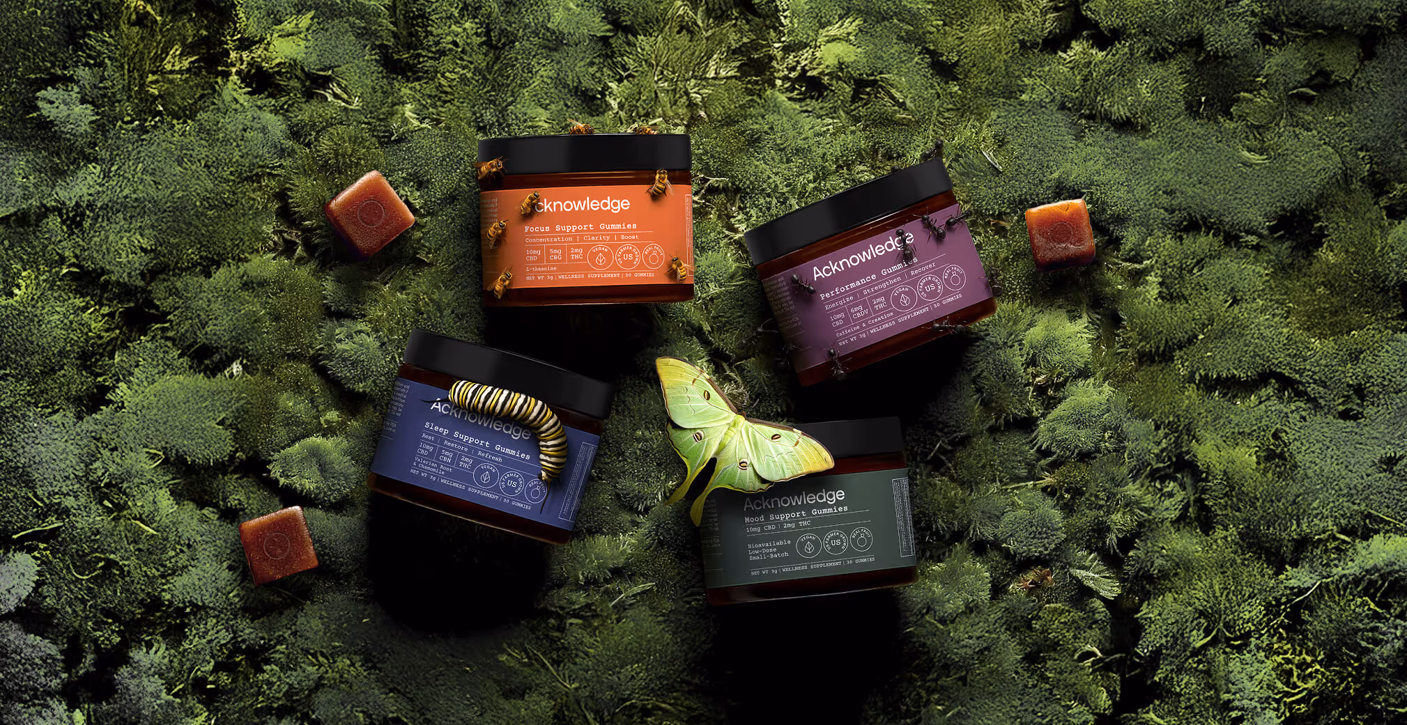 Acknowledge wellness gummy jars displayed on a lush green moss background. Each jar represents different functions — Focus Support, Performance, Sleep Support, and Mood Support. Bees, a caterpillar, and a green moth rest on and around the jars, emphasizing