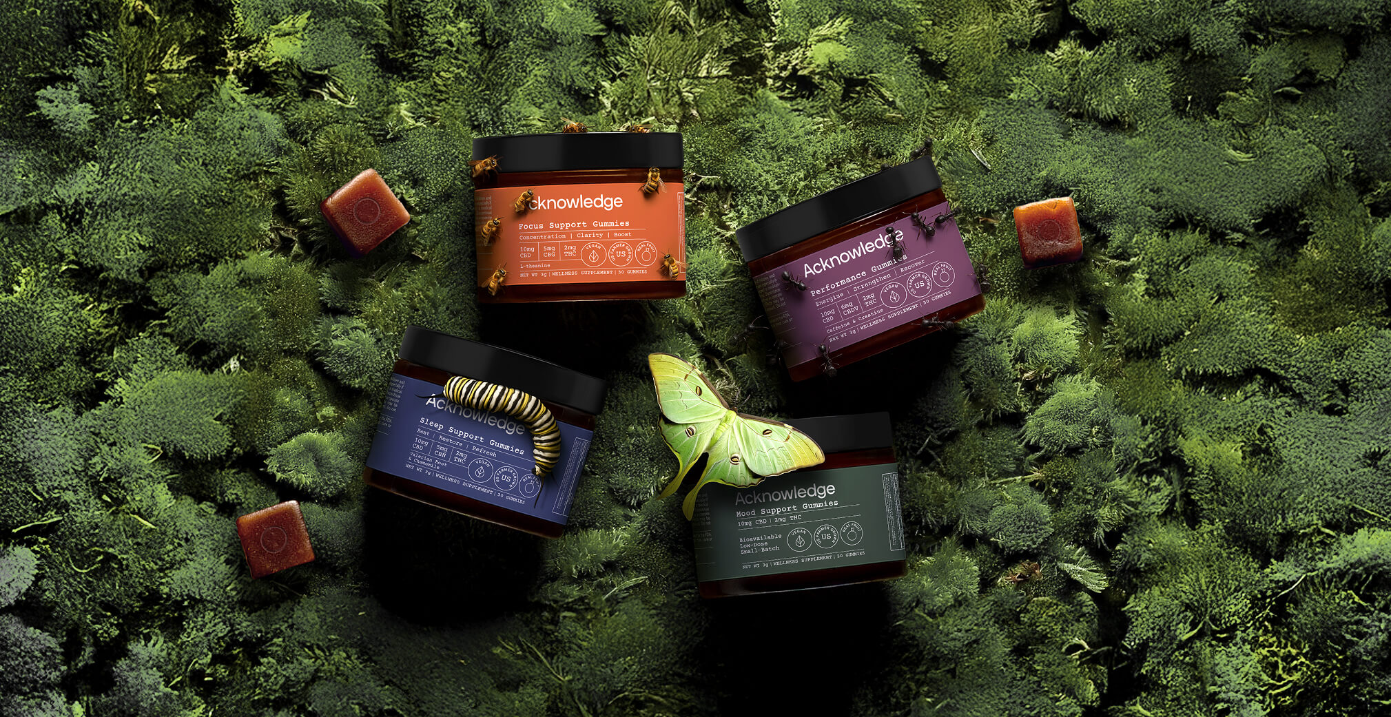 Acknowledge wellness gummy jars displayed on a lush green moss background. Each jar represents different functions — Focus Support, Performance, Sleep Support, and Mood Support. Bees, a caterpillar, and a green moth rest on and around the jars, emphasizing