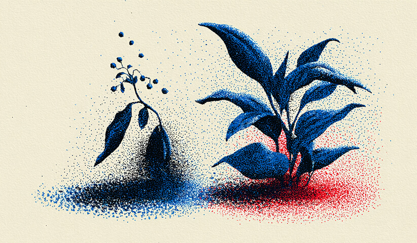 Two plants side by side—one wilting and one thriving—symbolizing contrast, growth, and nurturing expertise.