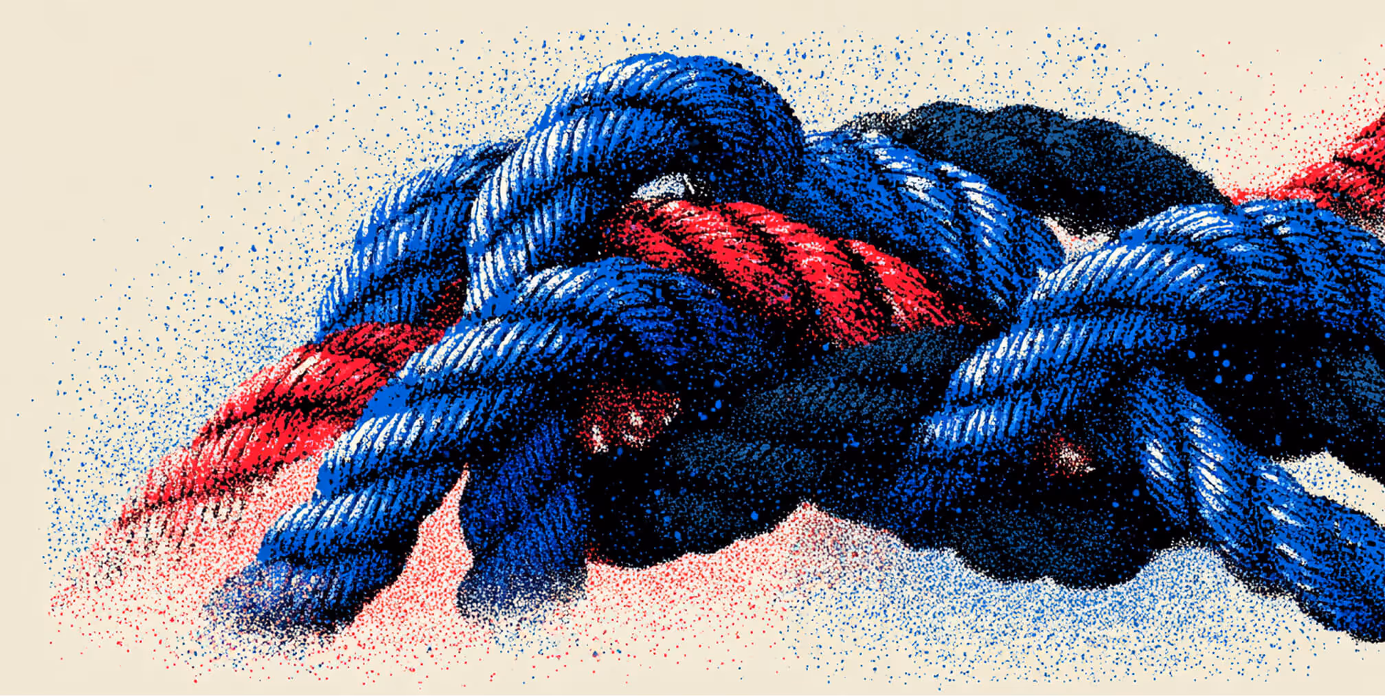 Interwoven ropes in blue, red, and black tones, symbolizing strength, connection, and integrated teamwork.