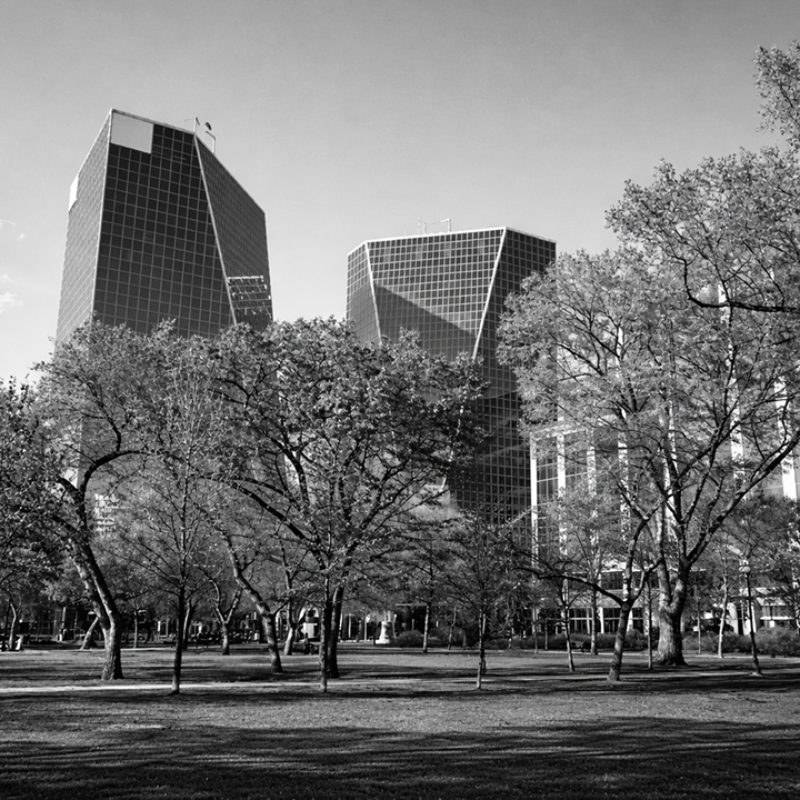 Black and white photo of downtown Regina office towers rising behind a tree-lined urban park in Saskatchewan.