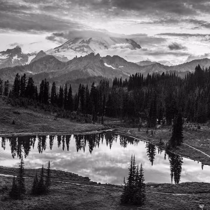 Black and white landscape of Mount Rainier reflected in an alpine lake surrounded by evergreen forest in Washington.