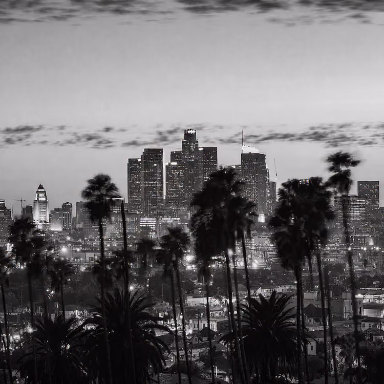 Los Angeles downtown skyline at dusk framed by palm trees in Southern California.