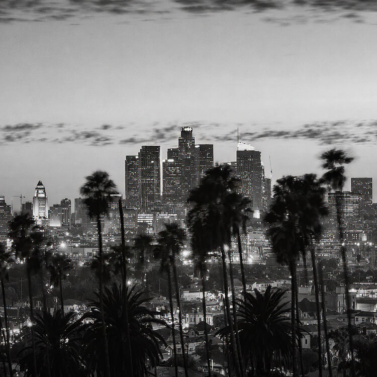 Los Angeles downtown skyline at dusk framed by palm trees in Southern California.