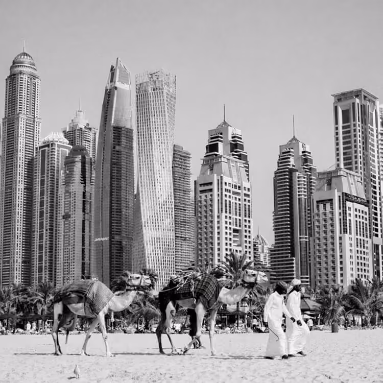 Black and white photo of camels walking along a Dubai beach with modern skyscrapers rising in the background.