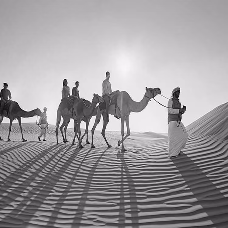 Black and white image of tourists riding camels across sand dunes in the Abu Dhabi desert with long shadows at sunset.