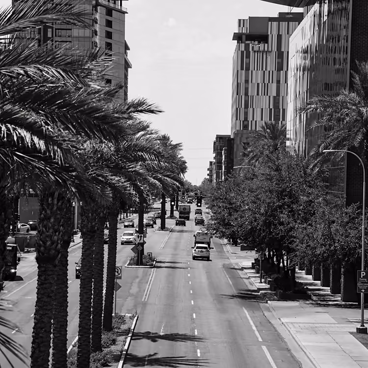 Black and white image of a palm tree-lined street in downtown Phoenix with cars and modern buildings.
