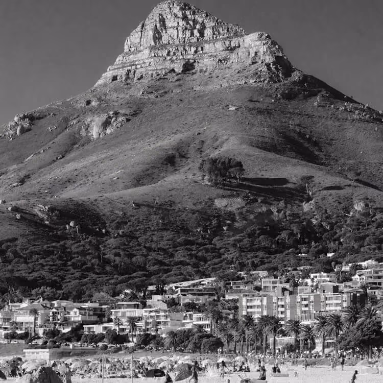 Lion’s Head mountain overlooking Cape Town beach with palm-lined shoreline and residential buildings.