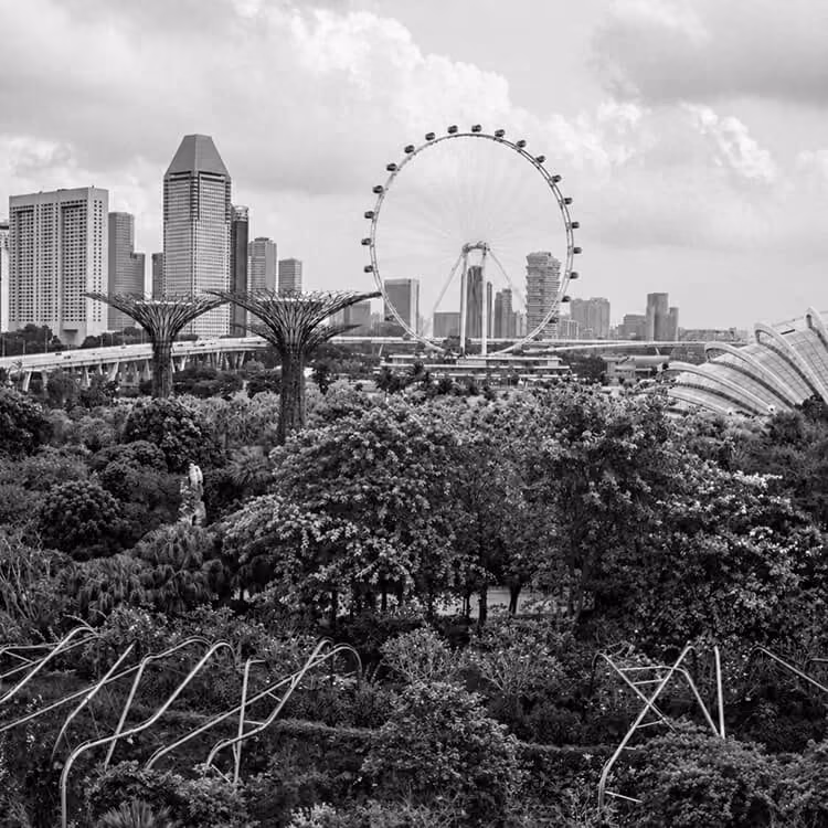 Gardens by the Bay with Supertree Grove and Singapore Flyer in the background.