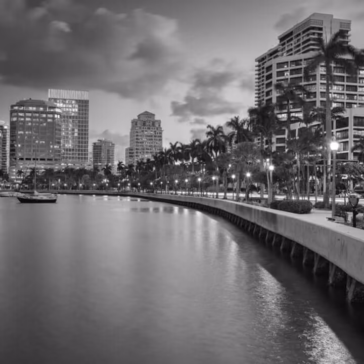 Florida waterfront skyline with palm-lined promenade and modern city buildings at dusk.