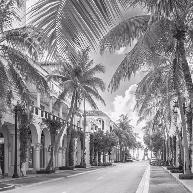 Palm-lined luxury shopping street in West Palm Beach with Mediterranean-style architecture.