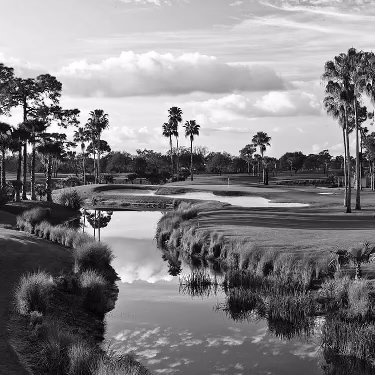 Scenic Florida golf course with reflective water features, palm trees, and landscaped greens.