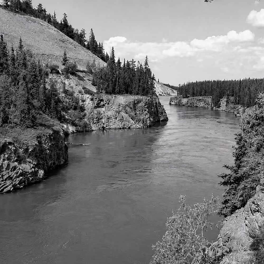 Yukon river canyon surrounded by rocky cliffs, evergreen forests, and wilderness landscape.