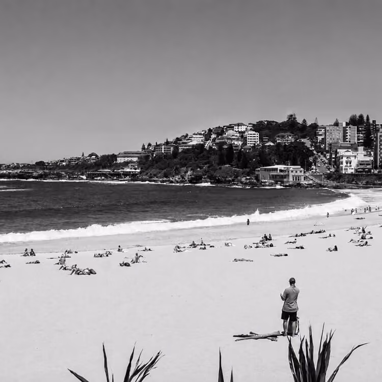 Sunny Sydney beach scene with coastal homes, ocean waves, and people relaxing on the sand.