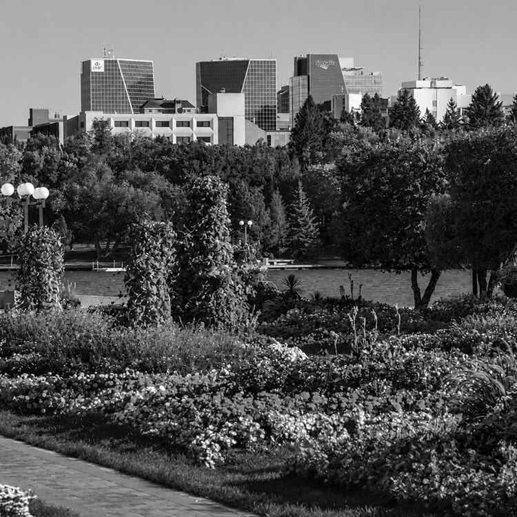 Regina skyline rising above lush greenery and the Wascana Centre parklands.