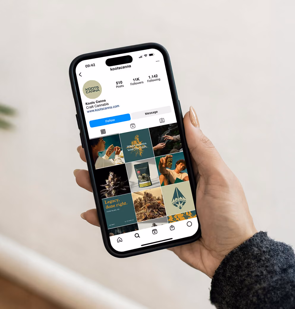 Hand holding a smartphone displaying the Koots Canna Instagram profile and branded social media feed.