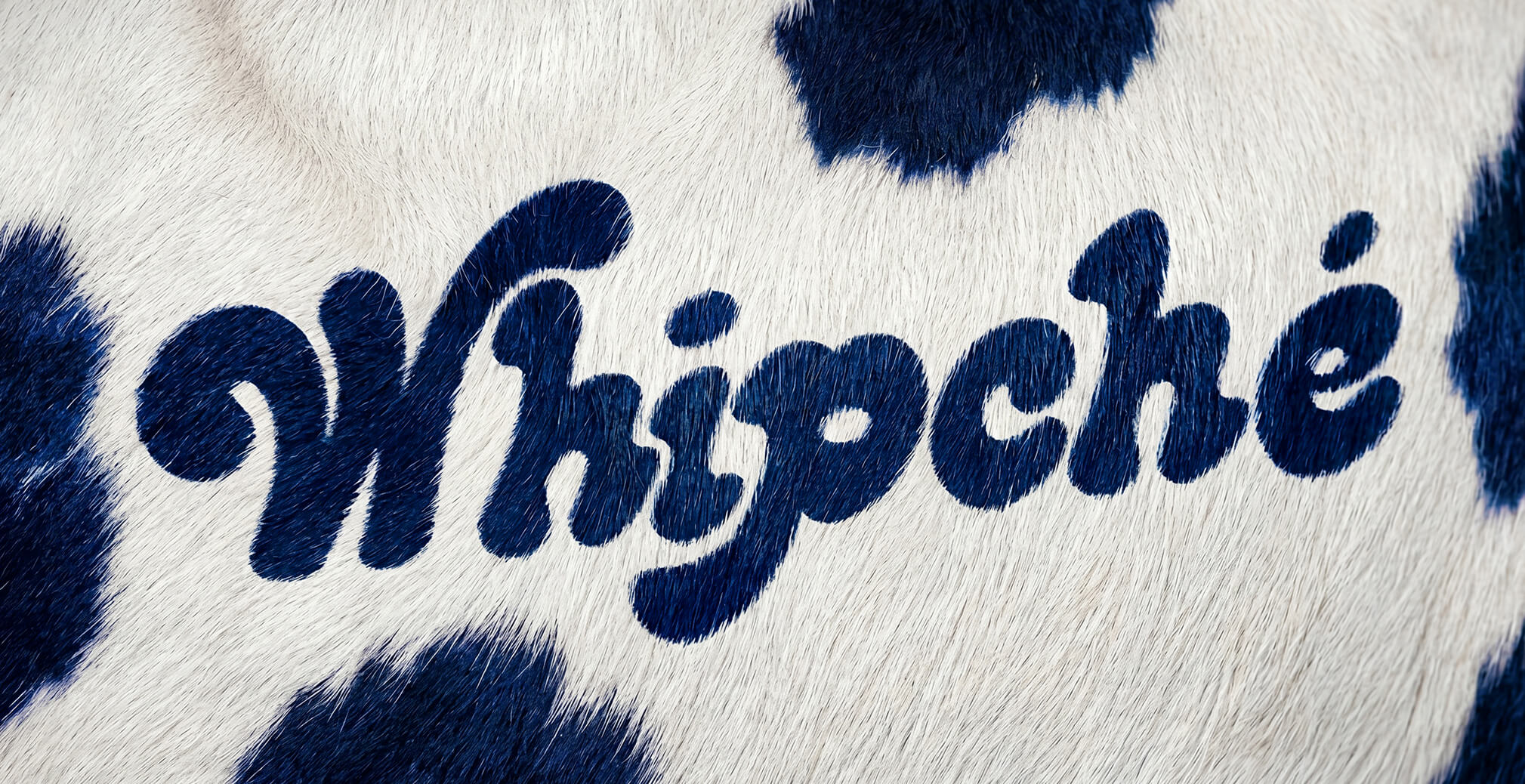 Whipché logo displayed across a blue-and-white cow print texture, showcasing playful dairy-inspired branding and visual identity design.
