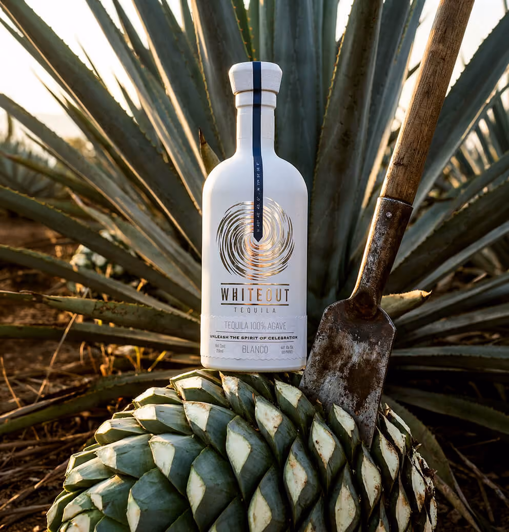 Whiteout Tequila Blanco bottle positioned beside harvested agave in a field, reinforcing heritage, craftsmanship, and authentic production roots.