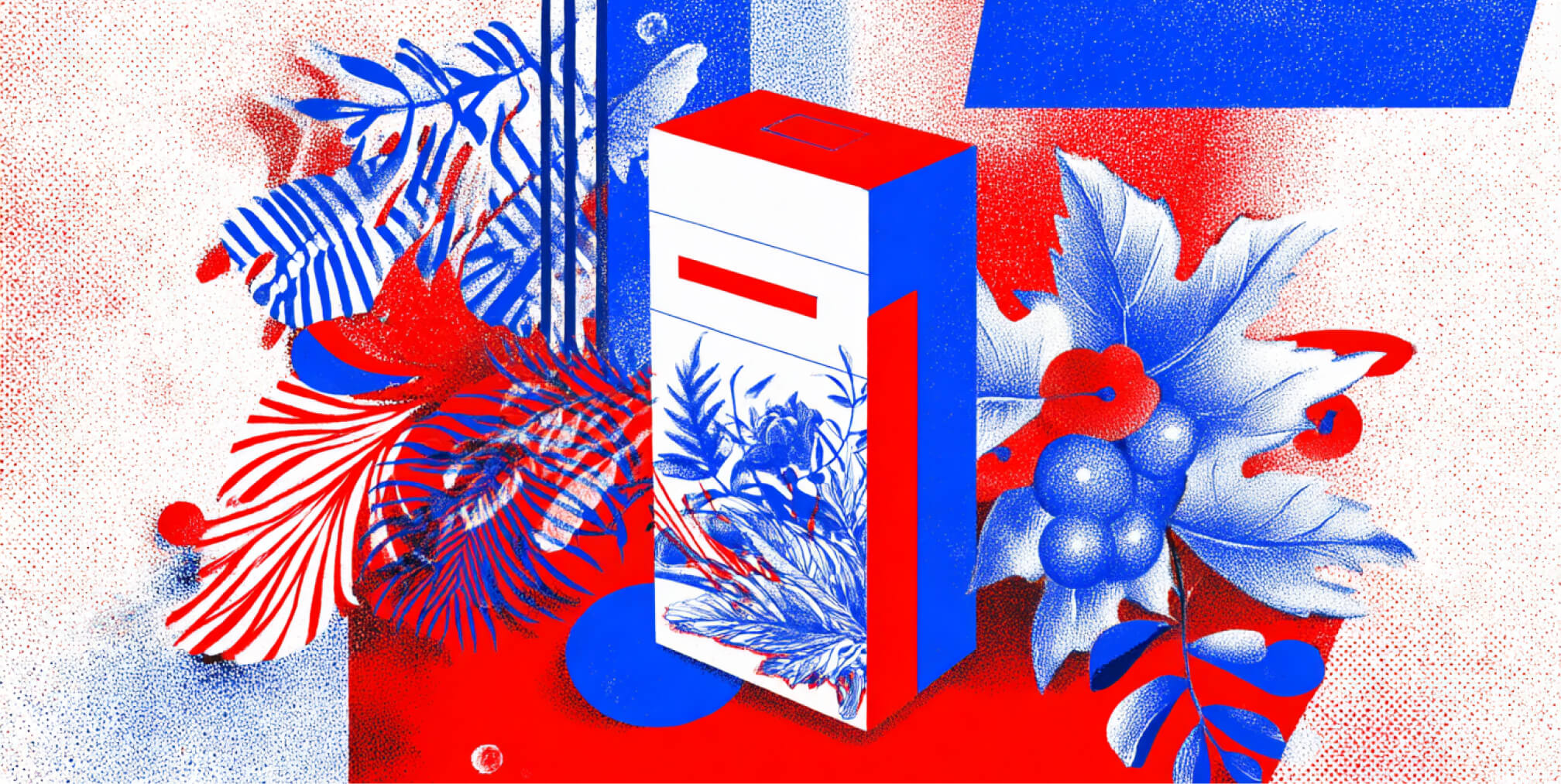 Print & Packaging