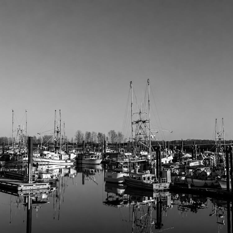 Fishing vessels moored at Steveston Harbour, highlighting Richmond’s historic fishing industry and waterfront community.