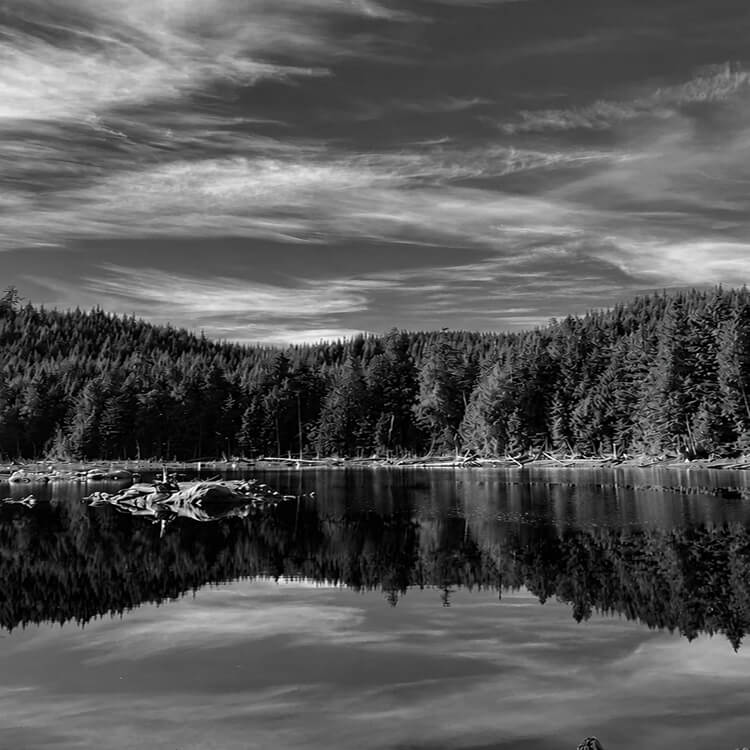 Serene forest lake in Coquitlam reflecting evergreen trees and a dramatic sky, showcasing the city's natural landscapes.