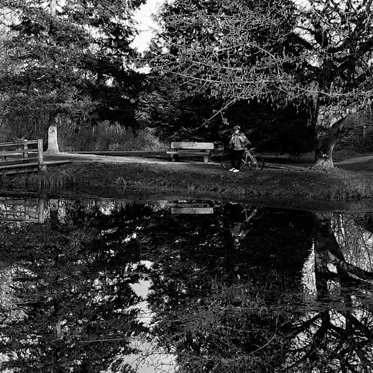 Black-and-white park scene with a cyclist beside a pond, surrounded by mature trees and reflected foliage.