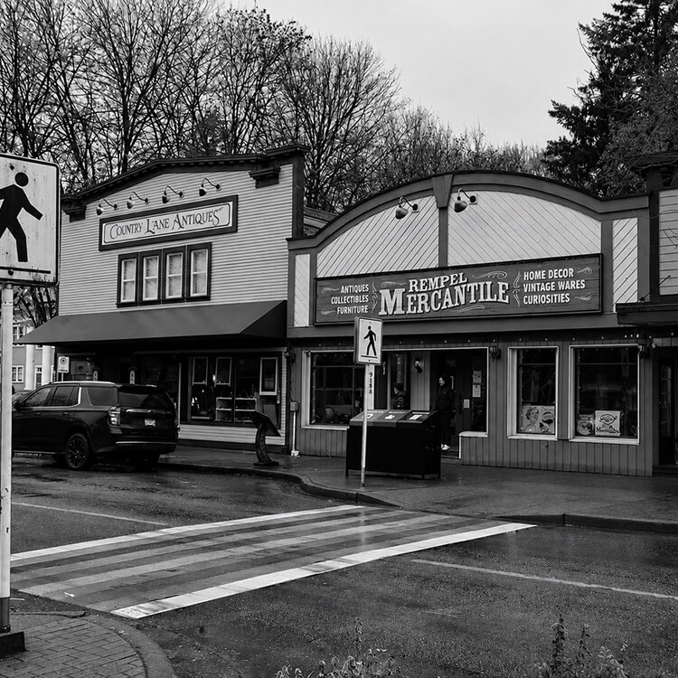 Black-and-white street scene featuring local antique and home decor storefronts along a pedestrian crossing.