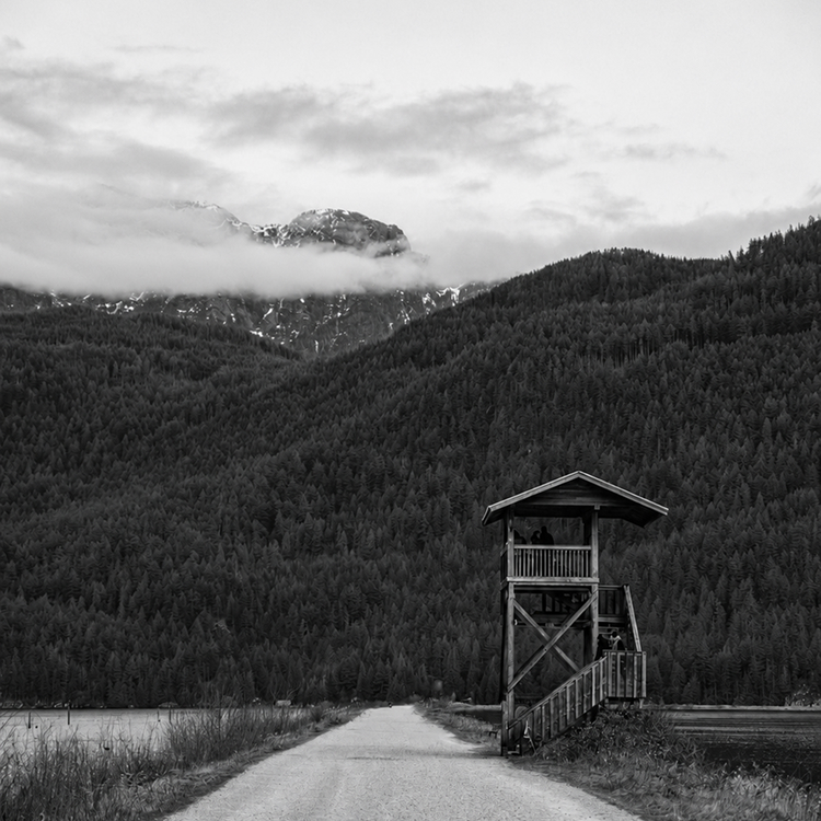 Rural pathway and wooden observation tower framed by dense forest and mist-covered mountains near Pitt Meadows.