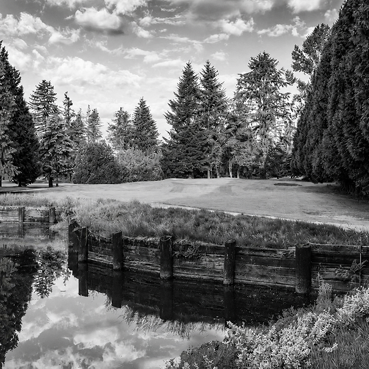 Peaceful green space beside a reflective waterway, surrounded by mature evergreen trees in Pitt Meadows.