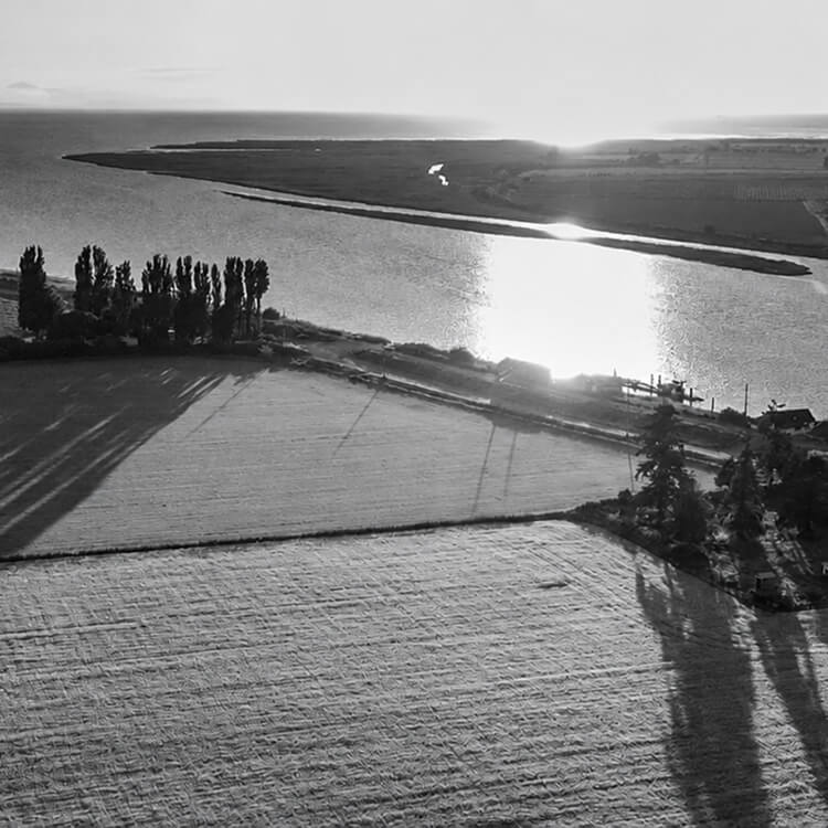 Aerial view of agricultural fields and waterways along Delta’s expansive Fraser River landscape.