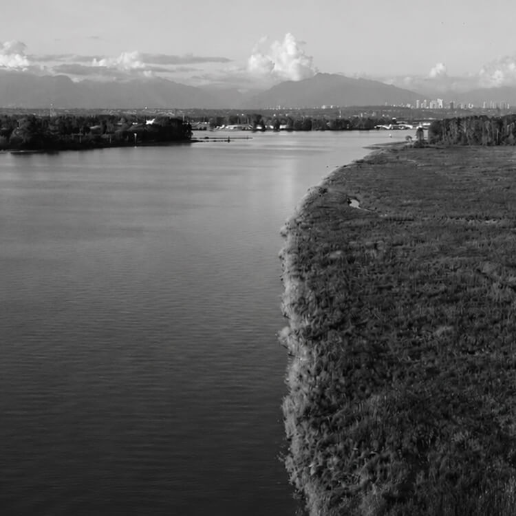 Wide river and marshland landscape with distant mountains and urban skyline visible from Delta, British Columbia.