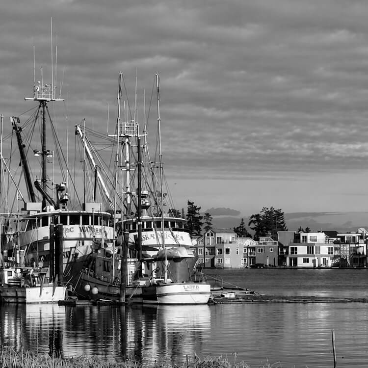 Commercial fishing boats docked along a calm waterfront with residential buildings in the background in Delta.