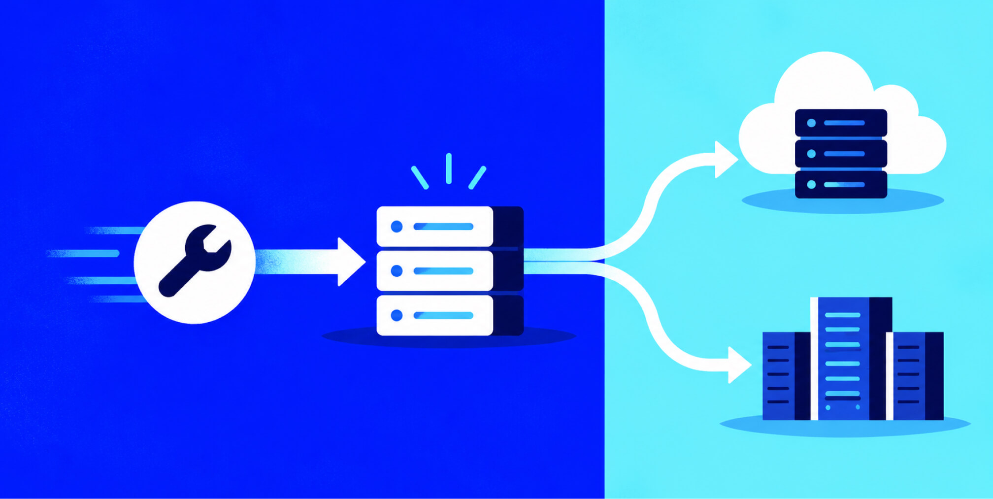 Website server repaired first before a business chooses between two future platform paths.
