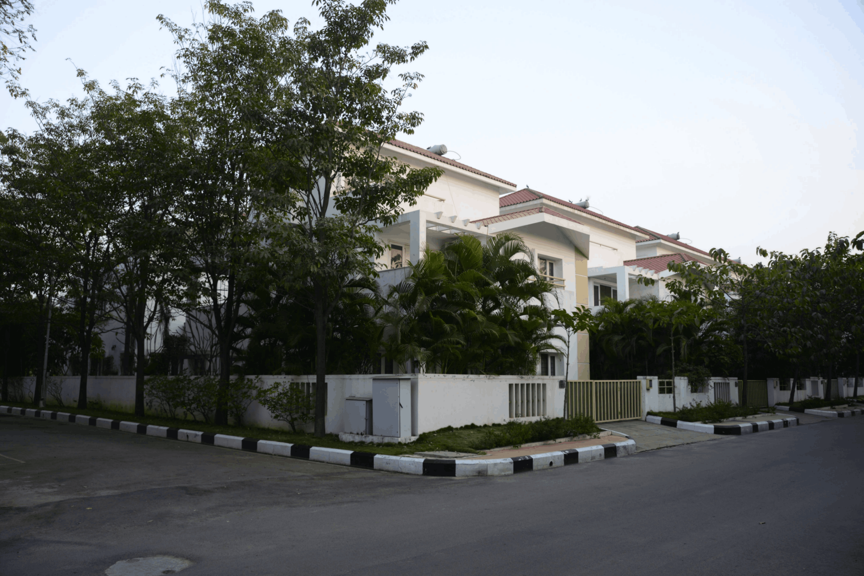White residential houses with green trees and a white boundary wall along a quiet street.