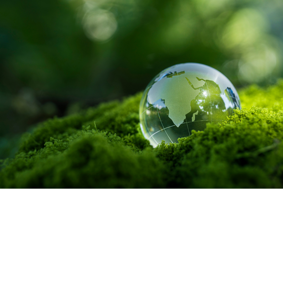 Five applications of AI to advance sustainability reporting in 2026