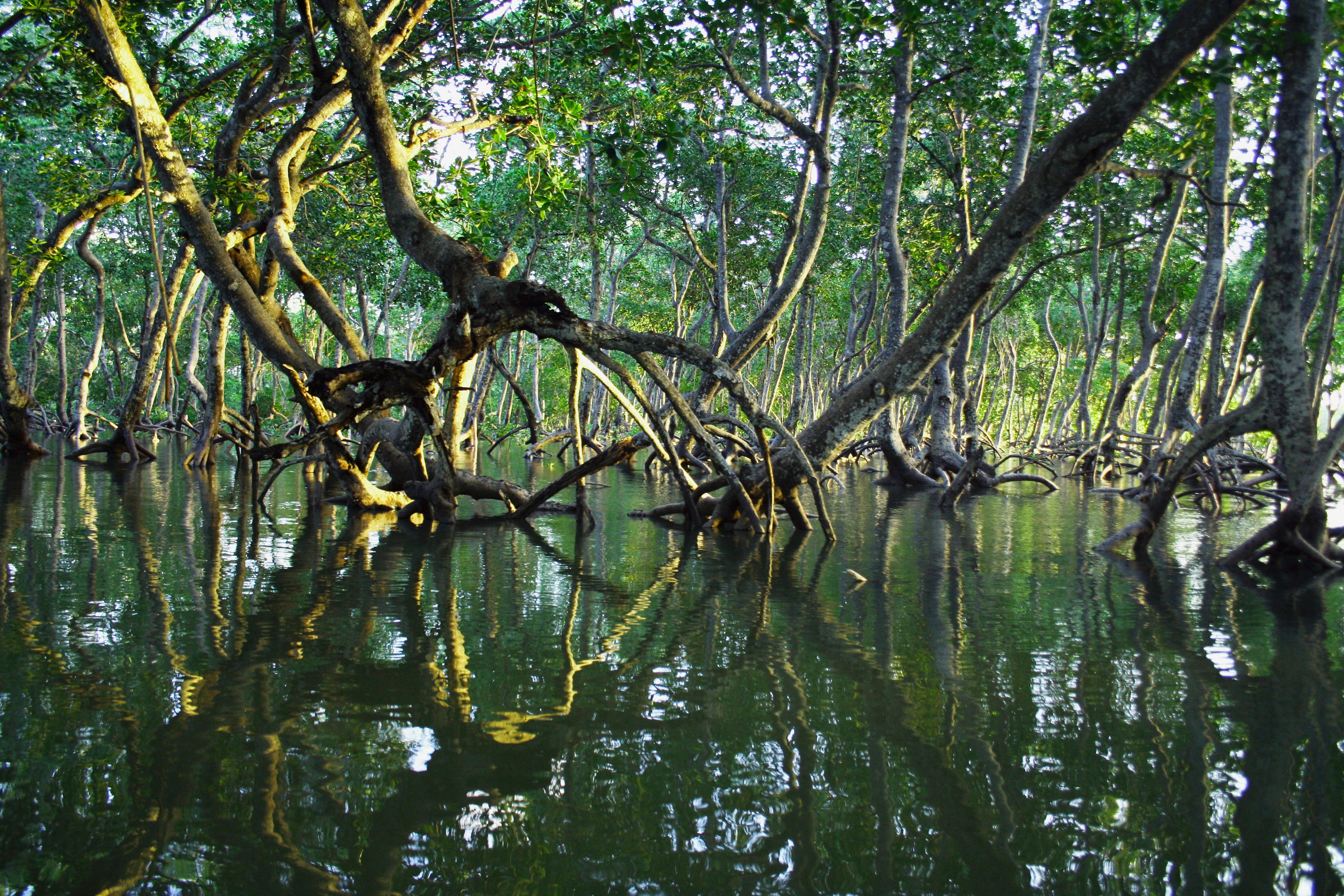Developing an adaptation investment strategy