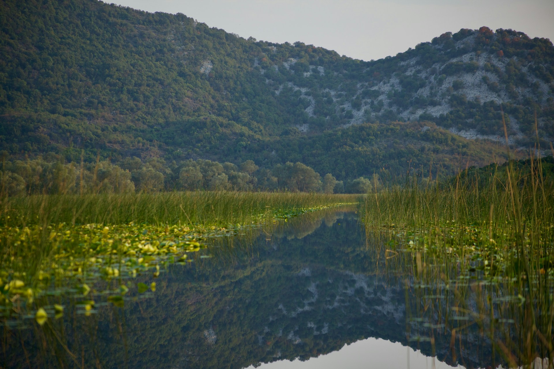 How Can Sustainability Leaders Speak the Language of Business