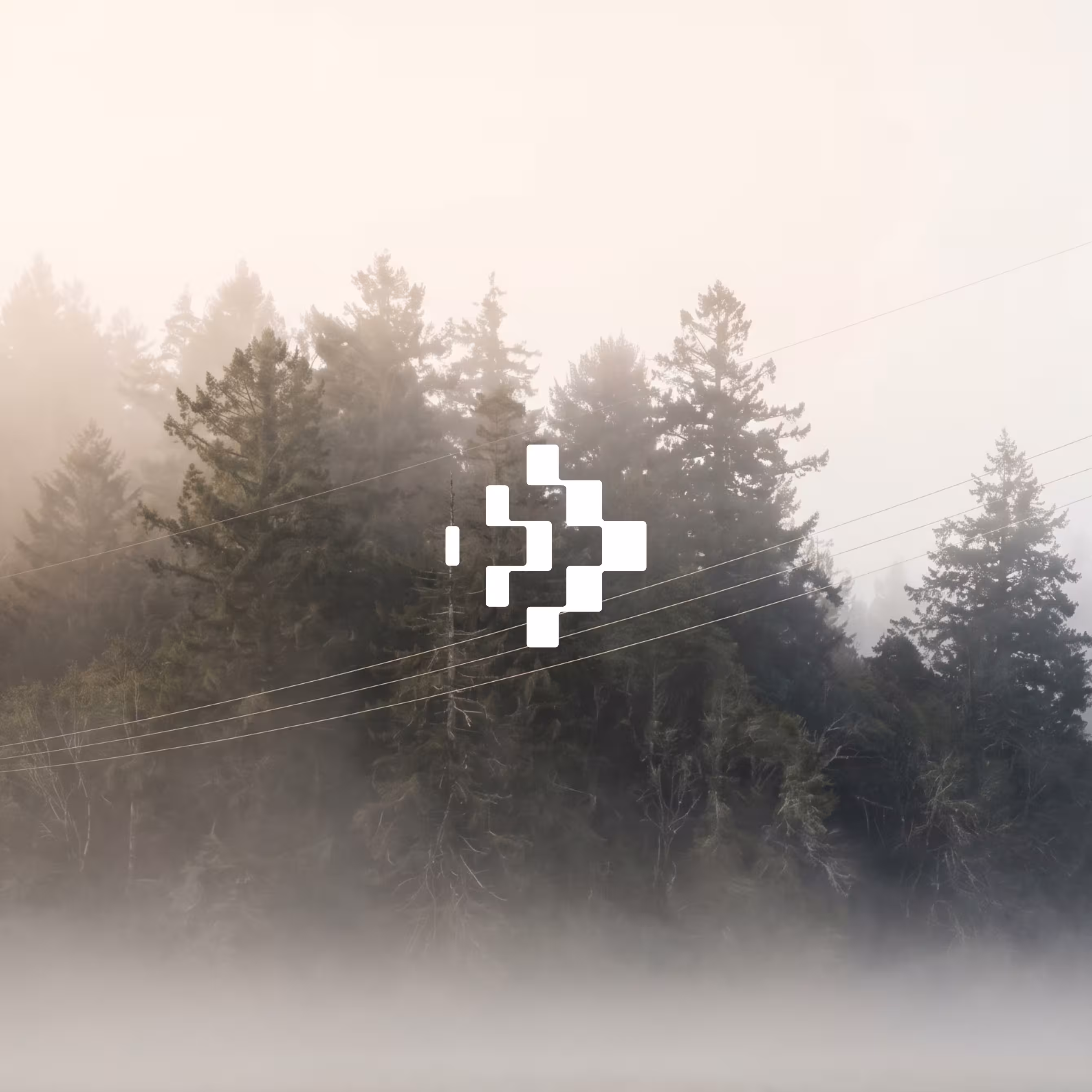 A photograph of a misty forest of trees at dawn. Power lines run across the image in the foreground, and the Global Grids Catalyst logo sits at the centre in white.