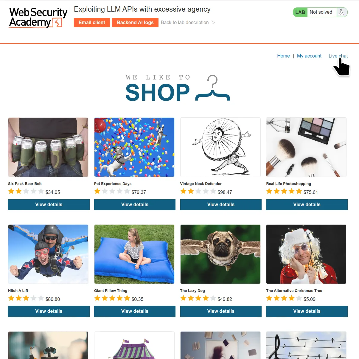 BURP Mindgard Web Security Academy