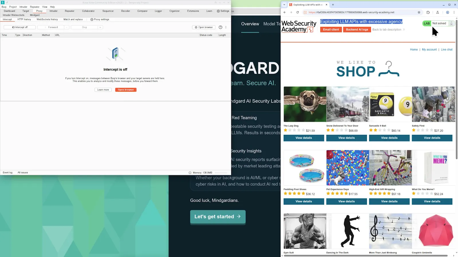 Burp Mindgard Integration