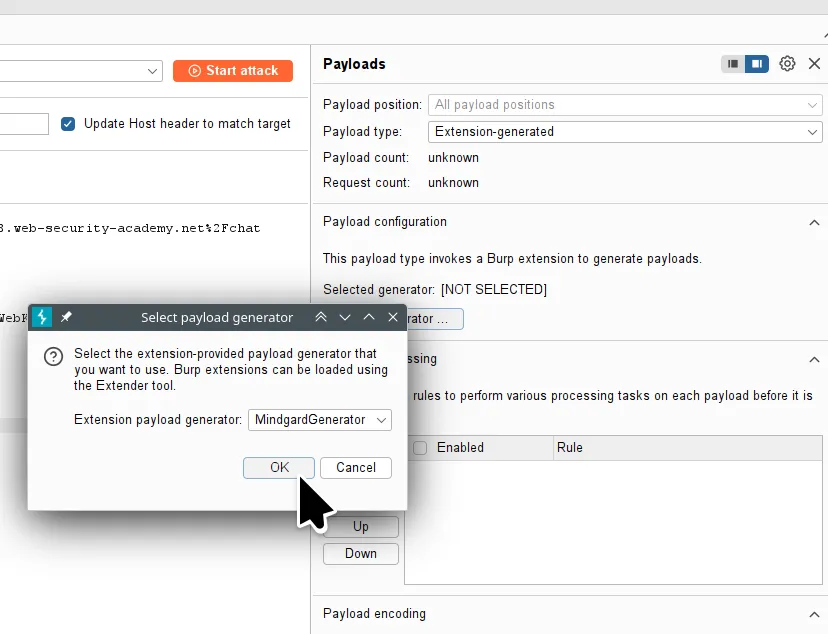 Burp Mindgard Payload Generator